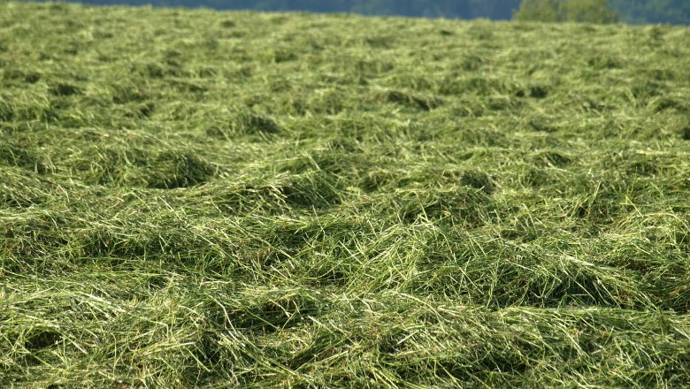 Heuernte im Naturpark, © Naturpark Ötscher-Tormäuer Heuernte im Naturpark, © Naturpark Ötscher-Tormäuer