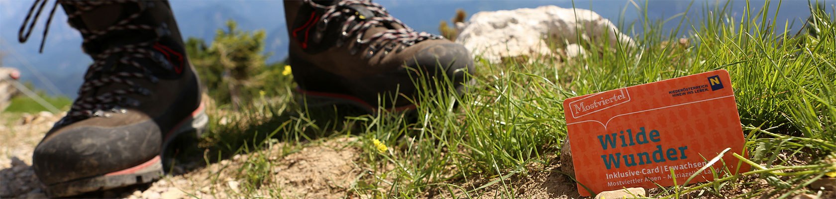 Wandern mit der Wilde Wunder Card, © schwarz-koenig.at Wandern mit der Wilde Wunder Card, © schwarz-koenig.at