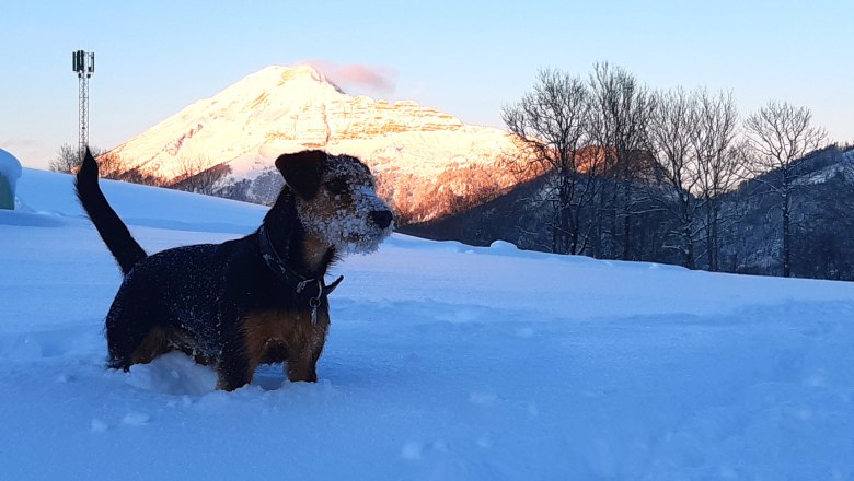 Winter am Höchbauernhof, © Höchbauernhof Winter am Höchbauernhof, © Höchbauernhof