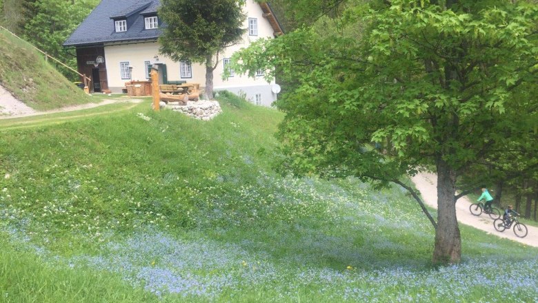 Ferienhaus Maria, © Familie Bock Ferienhaus Maria, © Familie Bock