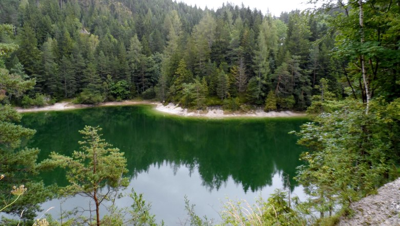 Erlaufstausee, © zVg Alpstein Ein kleiner, grüner See umgeben von dichten Nadelwäldern.