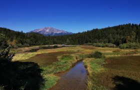 Erlauf_Walster4, © TVB Mariazeller Land Erlauf_Walster4, © TVB Mariazeller Land