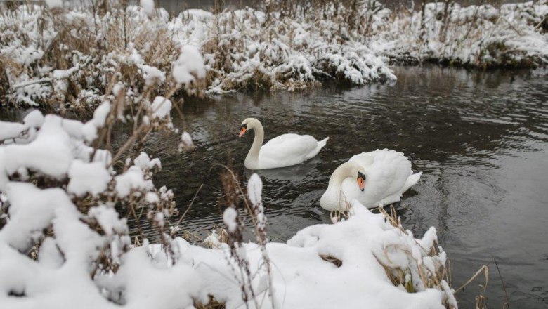 Forst Kienberg, © Forst Kienberg Forst Kienberg, © Forst Kienberg