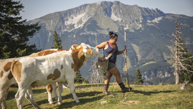 Ausblick auf den Ötscher, © Theo Kust Ausblick auf den Ötscher, © Theo Kust