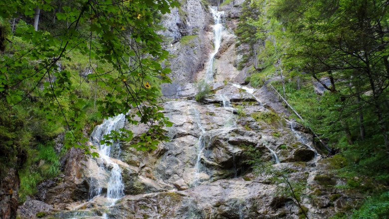 Schleierfall, © Alpstein Ein Wasserfall fließt über Felsen in einem bewaldeten Gebiet.
