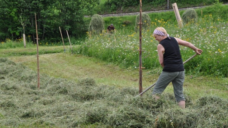Heuernte im Ötscher:Reich, © Naturpark Ötscher-Tormäuer Heuernte im Ötscher:Reich, © Naturpark Ötscher-Tormäuer