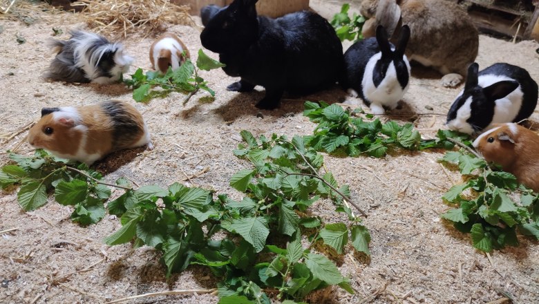 © Gasthof Digruber © Gasthof Digruber