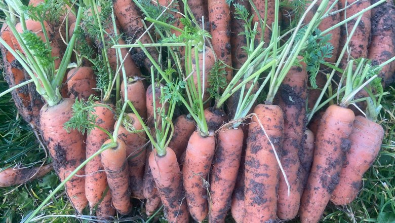 Garten Eva Derkits, © Eva Derkits Garten Eva Derkits, © Eva Derkits