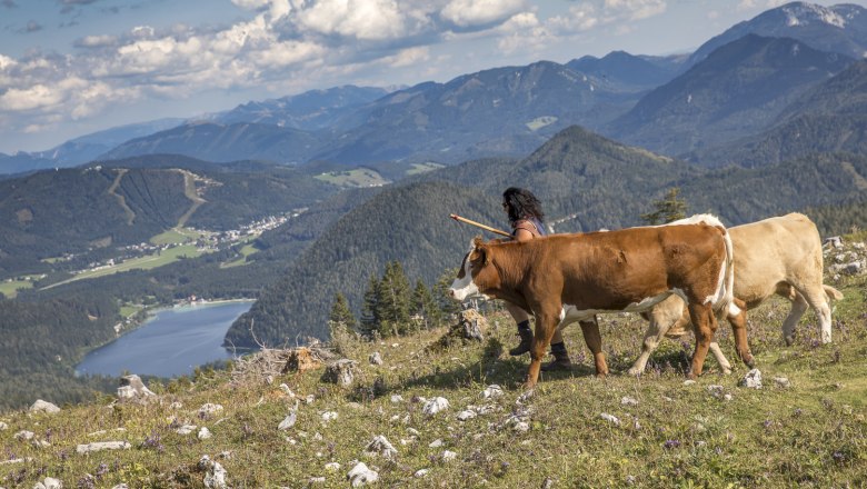 Ausblick auf den Erlaufsee, © Theo Kust Ausblick auf den Erlaufsee, © Theo Kust