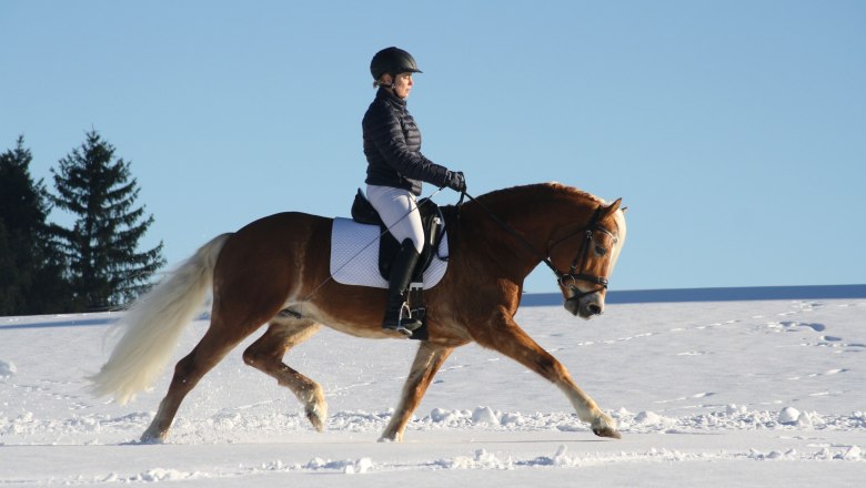 Schaglhof in winter, © Schaglhof Schaglhof in winter, © Schaglhof