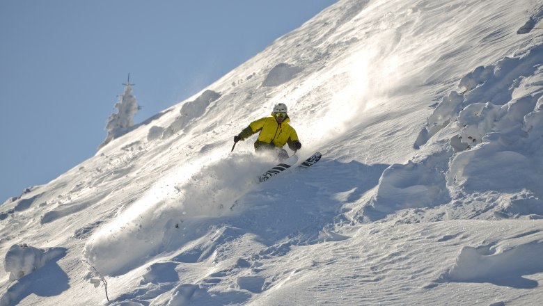 Freeride Area Gemeindealpe, © Bergbahnen Mitterbach Ein Skifahrer in gelber Jacke fährt eine verschneite Piste hinunter.