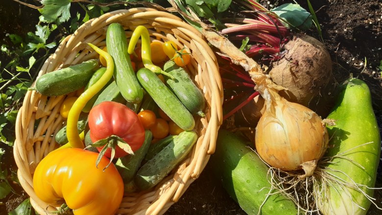 Gemüsegarten Höchbauer, © Martha Weber