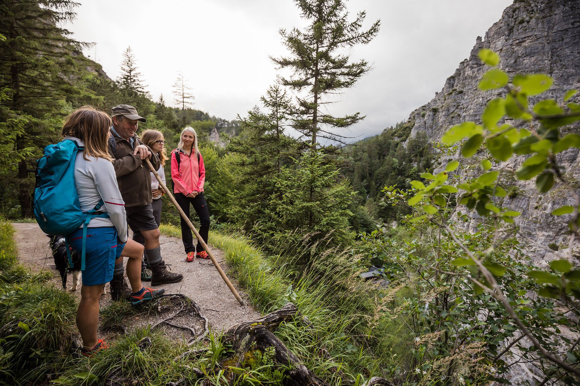 Inmitten der beeindruckenden Natur des Naturparks Ötscher-Tormäuer versammeln sich Wanderer, um die atemberaubenden Ausblicke zu genießen. Die frische Bergluft und das sanfte Rauschen der Bäume schaffen eine einladende Atmosphäre für alle, die die Schönheit der Alpen erleben möchten.