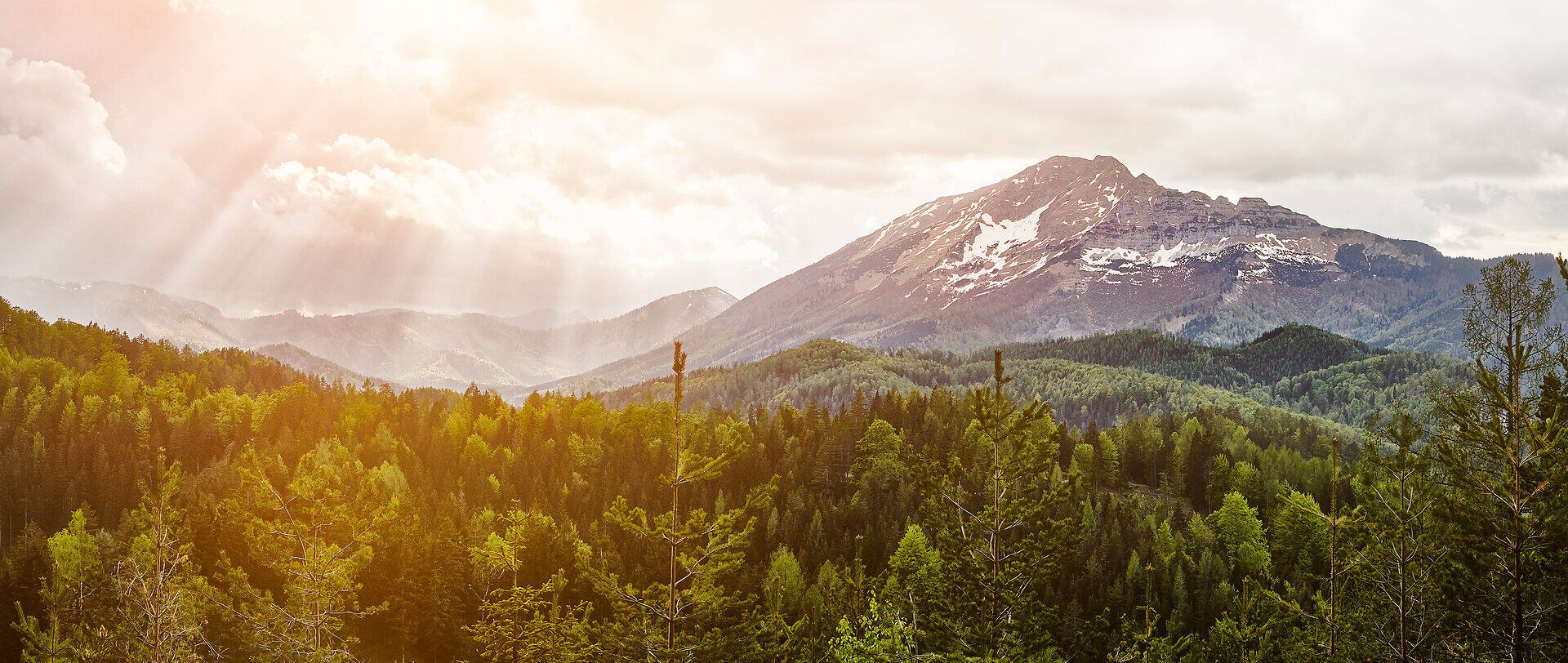 Die majestätischen Gipfel des Ötschers erheben sich stolz über die üppigen Wälder, während die sanften Sonnenstrahlen durch die Wolken brechen und eine magische Atmosphäre schaffen. Wanderer können hier die unberührte Natur und die atemberaubenden Ausblicke genießen, die das Herz eines jeden Naturliebhabers höher schlagen lassen.