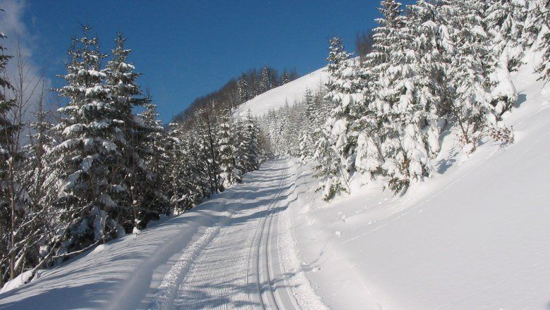 Cross-country skiing in Puchenstuben