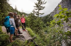 Inmitten der beeindruckenden Natur des Naturparks Ötscher-Tormäuer versammeln sich Wanderer, um die atemberaubenden Ausblicke zu genießen. Die frische Bergluft und das sanfte Rauschen der Bäume schaffen eine einladende Atmosphäre für alle, die die Schönheit der Alpen erleben möchten.
