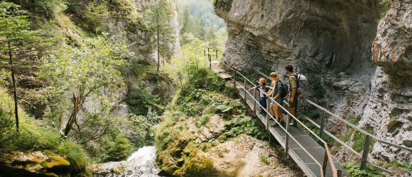 Ein malerischer Wanderweg schl&auml;ngelt sich entlang des rauschenden Wassers, umgeben von &uuml;ppigem Gr&uuml;n und majest&auml;tischen Felsen. Familien genie&szlig;en die frische Luft und die atemberaubenden Ausblicke auf die Natur, w&auml;hrend sie die Sch&ouml;nheit des Naturparks &Ouml;tscher Torm&auml;uer entdecken.