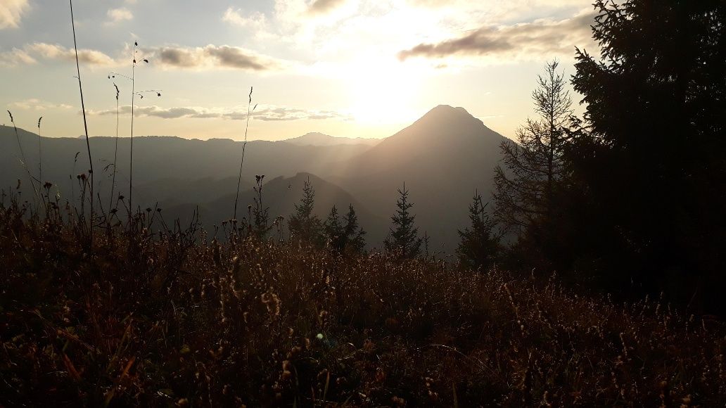 View in the direction of Ötscher