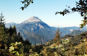 Ausblick Alpenhotel Gösing, © weinfranz.at