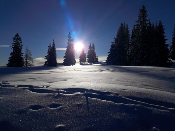 Winter im Naturpark, &copy; Naturpark &Ouml;tscher-Torm&auml;uer