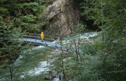 Inmitten der üppigen, grünen Wälder und den sanften Klängen des rauschenden Wassers steht ein Wanderer auf einer kleinen Brücke. Die majestätischen Felsen erheben sich hoch über dem Fluss und schaffen eine atemberaubende Kulisse für unvergessliche Erlebnisse in der Natur. Hier, wo die Ruhe der Natur auf die Abenteuerlust der Wanderer trifft, entfaltet sich die Schönheit des Ötscher-Tormäuer Naturparks.