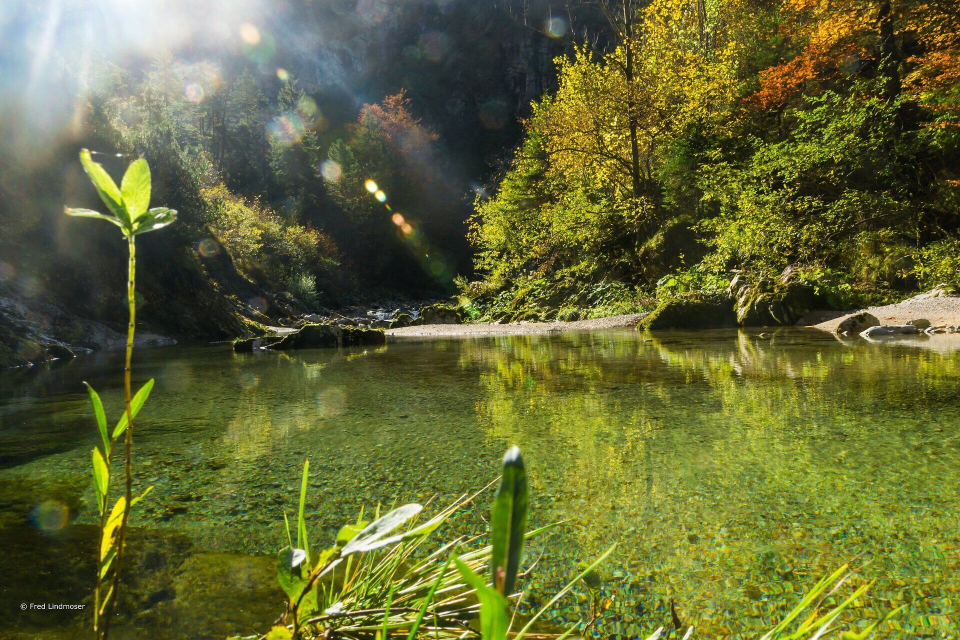Kristallklares Wasser spiegelt die Farben der umliegenden Bäume wider und schafft eine friedliche Oase inmitten der Natur. Die sanften Wellen laden dazu ein, die Seele baumeln zu lassen und die frische Luft zu genießen. Hier, wo die Schönheit der Landschaft auf Ruhe trifft, wird jeder Moment zum unvergesslichen Erlebnis.