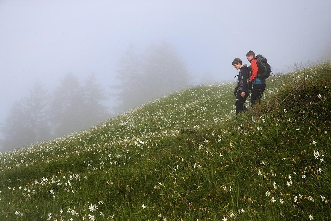 Opponitz Hiking