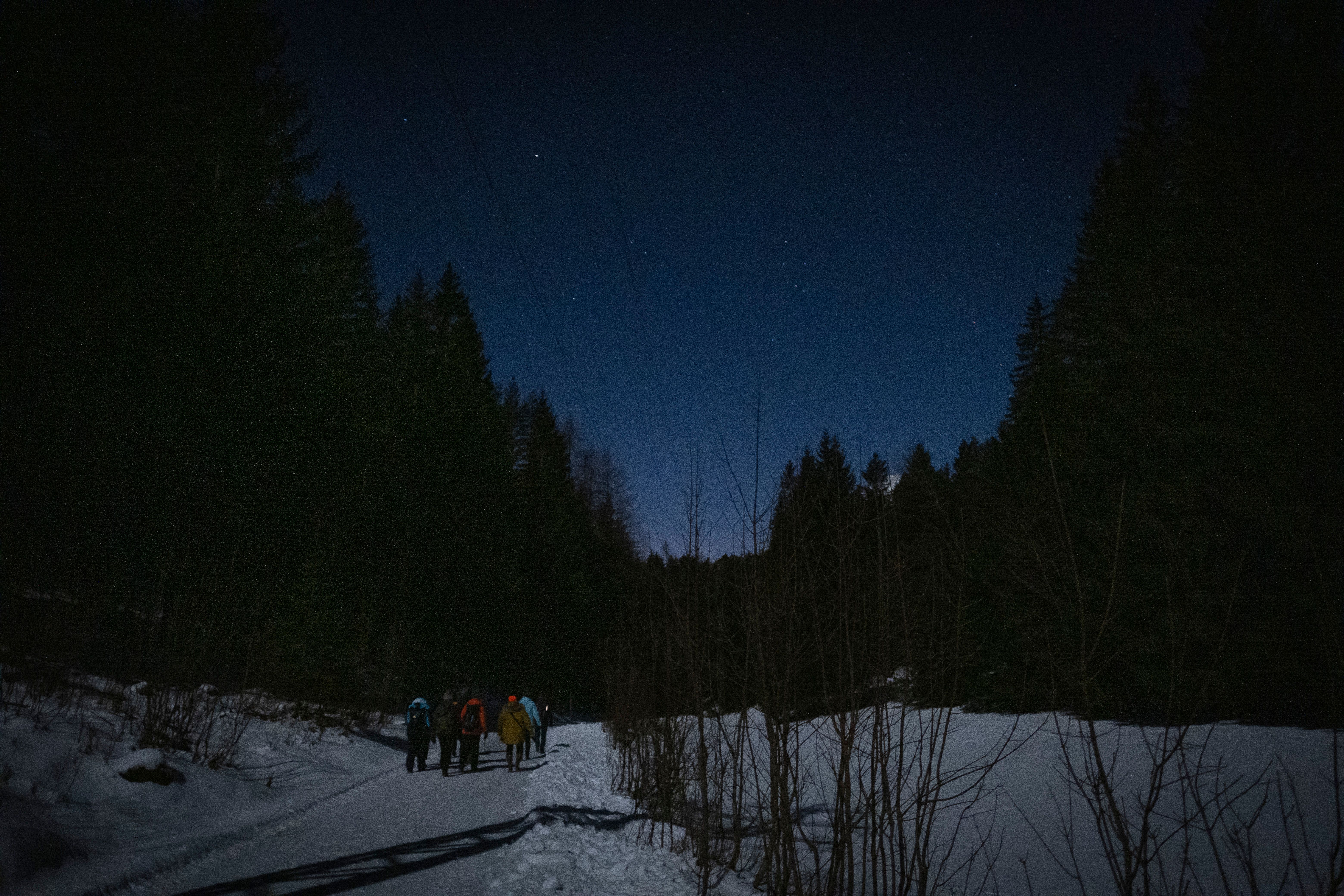 Gruppe bei einer Nachtwanderung am Weg Richtung Kaiserthron