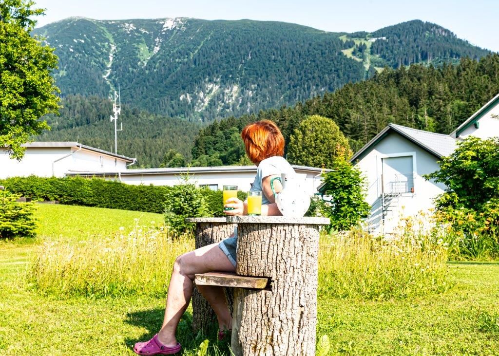 Garten mit Ötscherblick