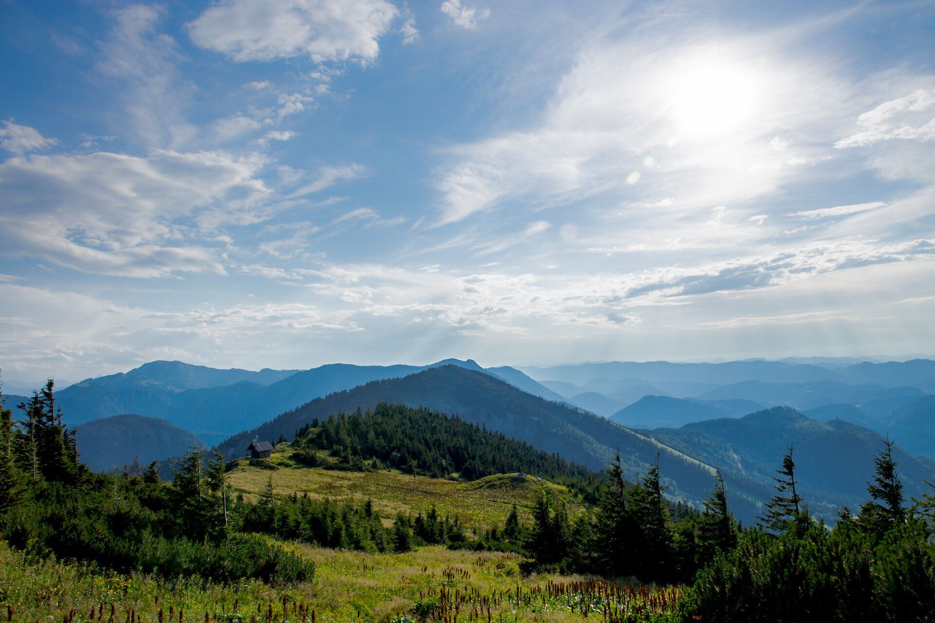 The gentle hills and majestic peaks of the Ötscher invite you to enjoy unforgettable hikes. Here, where nature is in full bloom, summer unfolds in its most beautiful form and offers breathtaking panoramas that make the heart of every nature lover beat faster.
