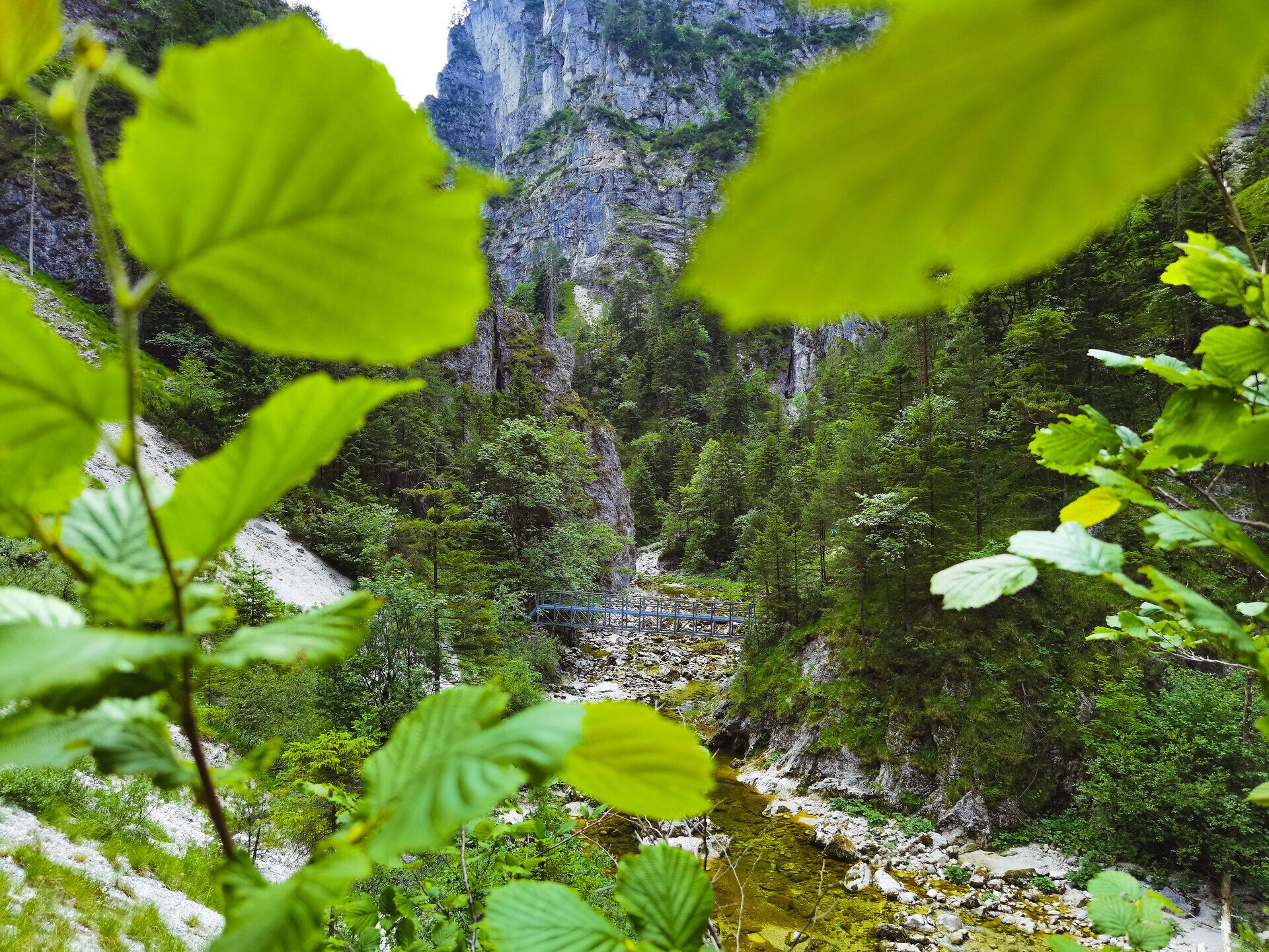 Umgeben von majestätischen Felsen und üppigem Grün, fließt ein klarer Bach durch die idyllische Landschaft. Die frische Bergluft und das sanfte Plätschern des Wassers laden dazu ein, die Seele baumeln zu lassen und die Schönheit der Natur zu genießen.