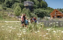 Inmitten der atemberaubenden Natur des Ötschergräben versammeln sich Familien, um die Schönheit der Umgebung zu erkunden. Die sanften Hügel und blühenden Wiesen laden zu unvergesslichen Wanderabenteuern ein, während die frische Bergluft die Sinne belebt.