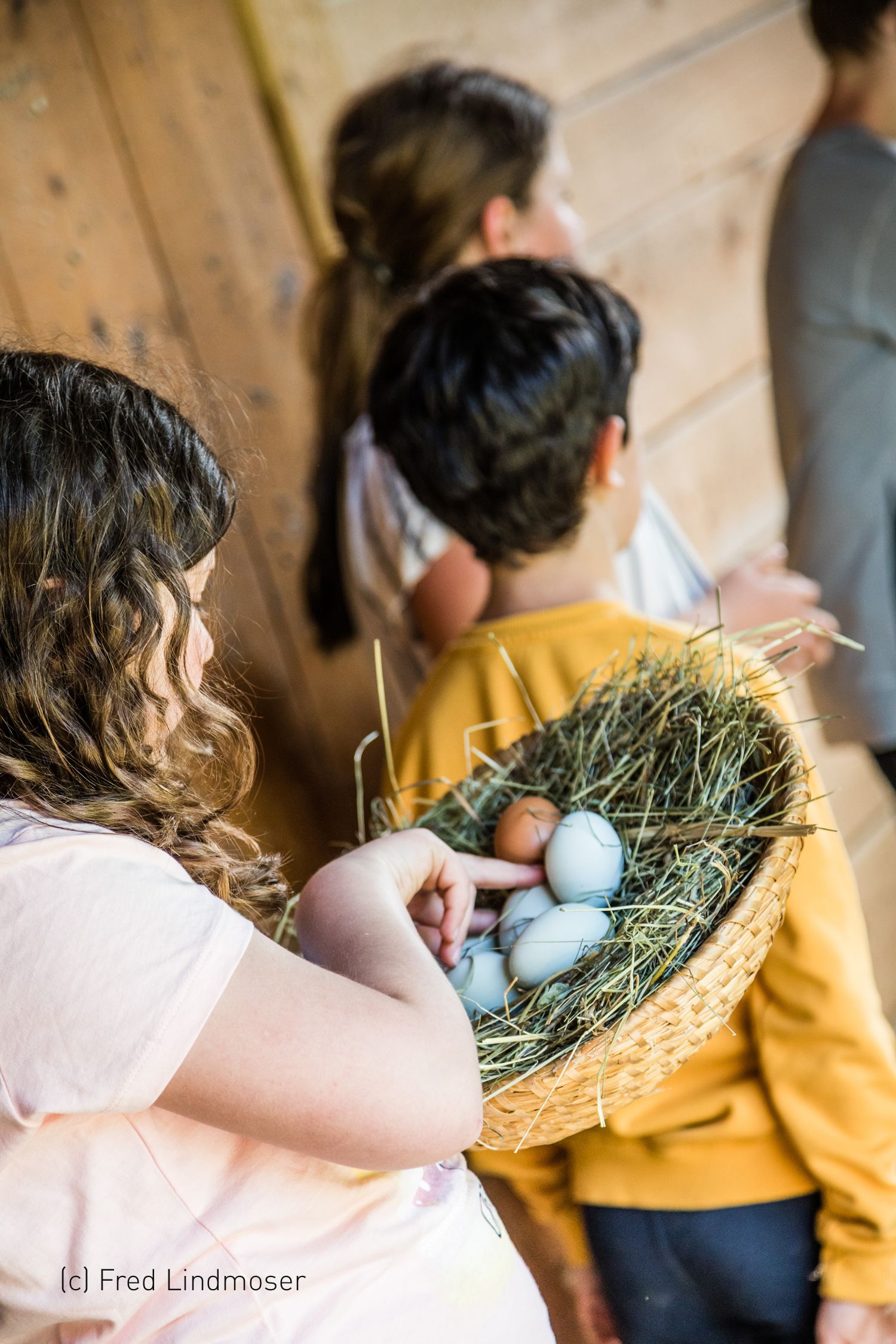 pension-kobichl_children-with-eggs-in-the-basket_1