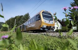 Die sanften Hügel des Pielachtals umarmen die schimmernden Gleise der Mariazellerbahn, während die bunten Wildblumen im Vordergrund eine malerische Kulisse schaffen. Hier, wo die Natur und die Eisenbahn harmonisch aufeinandertreffen, wird der Sommer in den Bergen zum unvergesslichen Erlebnis.