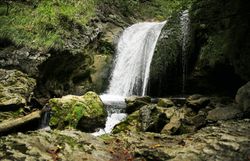 Ein sanft plätschernder Wasserfall umrahmt von üppigem Grün lädt zu einer erfrischenden Auszeit in der Natur ein. Die klare, sprudelnde Quelle verspricht ein unvergessliches Erlebnis für Wanderer und Naturliebhaber. Hier, im Herzen des Naturparks Ötscher-Tormäuer, entfaltet sich die Schönheit der alpinen Landschaft.