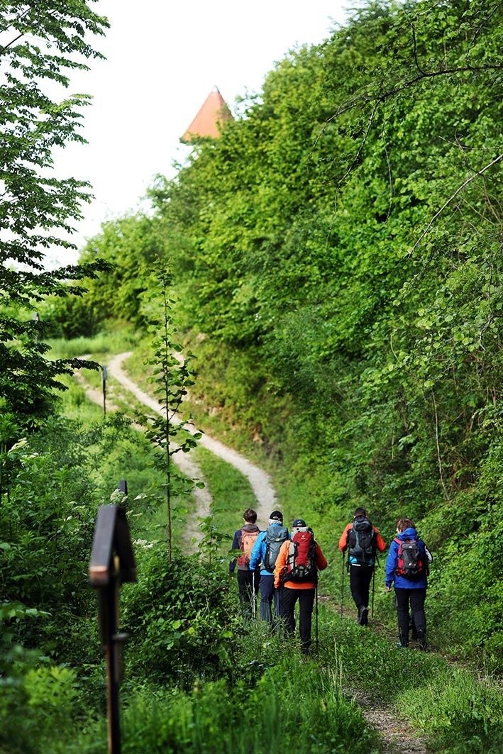 Hiking Opponitz