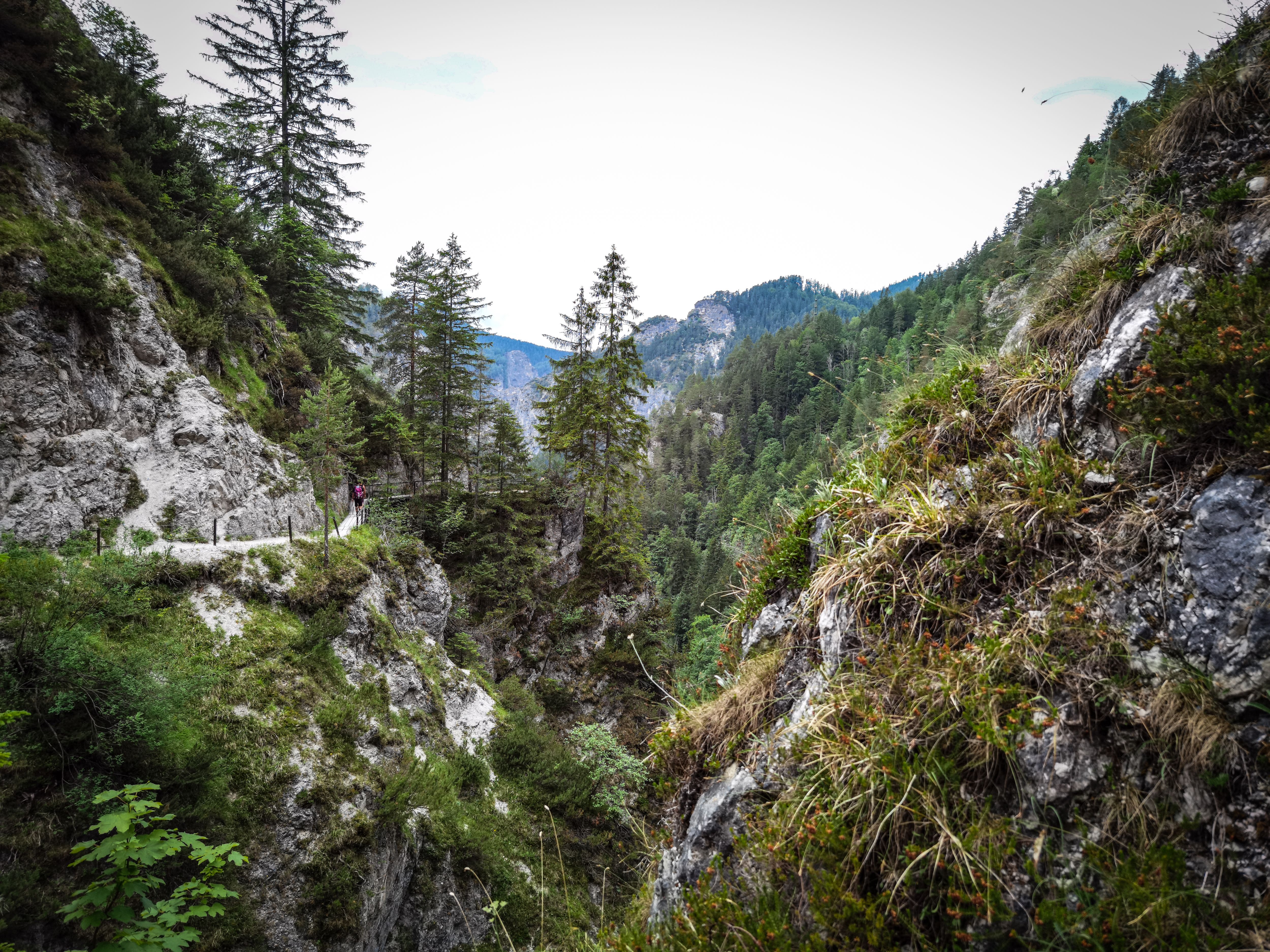 Ausblick in der Lassingschlucht mit Felsen