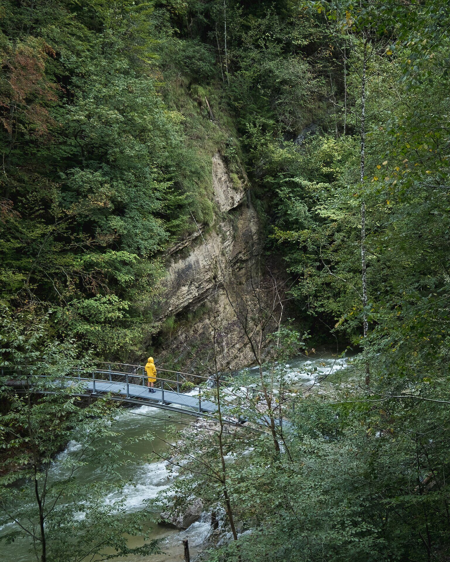 Inmitten der üppigen, grünen Wälder und den sanften Klängen des rauschenden Wassers steht ein Wanderer auf einer kleinen Brücke. Die majestätischen Felsen erheben sich hoch über dem Fluss und schaffen eine atemberaubende Kulisse für unvergessliche Erlebnisse in der Natur. Hier, wo die Ruhe der Natur auf die Abenteuerlust der Wanderer trifft, entfaltet sich die Schönheit des Ötscher-Tormäuer Naturparks.