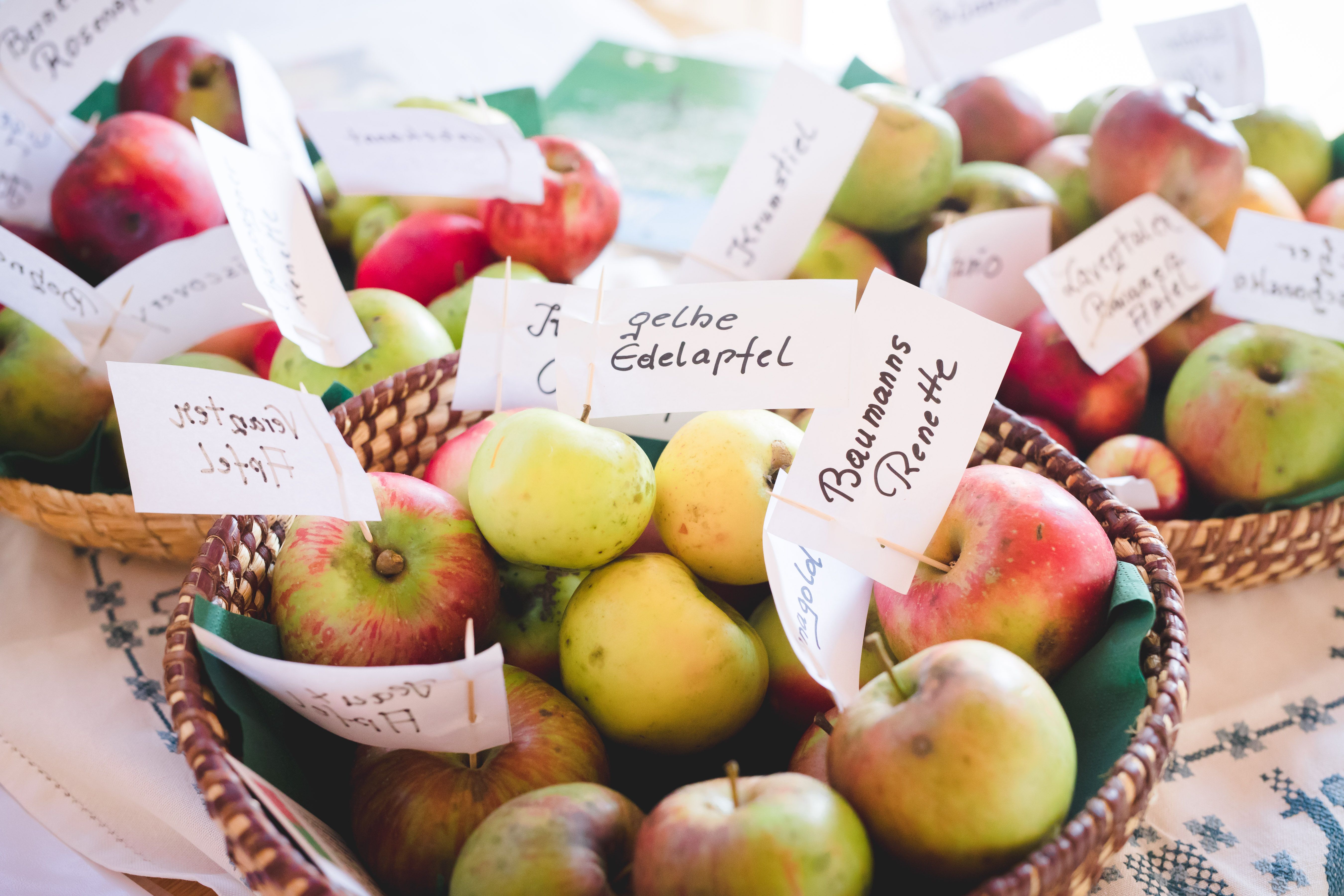 Viele verschiedene Obstsorten sind in Körben gesammelt und mit Papierfähnchen beschriftet. 