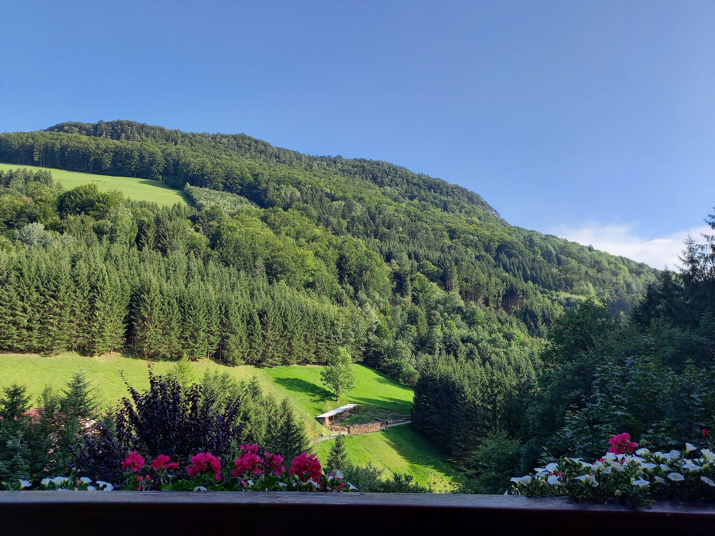 Balcony view