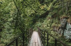 Ein schmaler Holzsteg schlängelt sich durch die üppige, grüne Landschaft, umgeben von majestätischen Bäumen und sanften Hügeln. Die frische, klare Luft und das sanfte Rauschen des Wassers schaffen eine friedliche Atmosphäre, die zum Verweilen einlädt. Hier in den Ötschergräben erleben Besucher die unberührte Natur in ihrer schönsten Form.