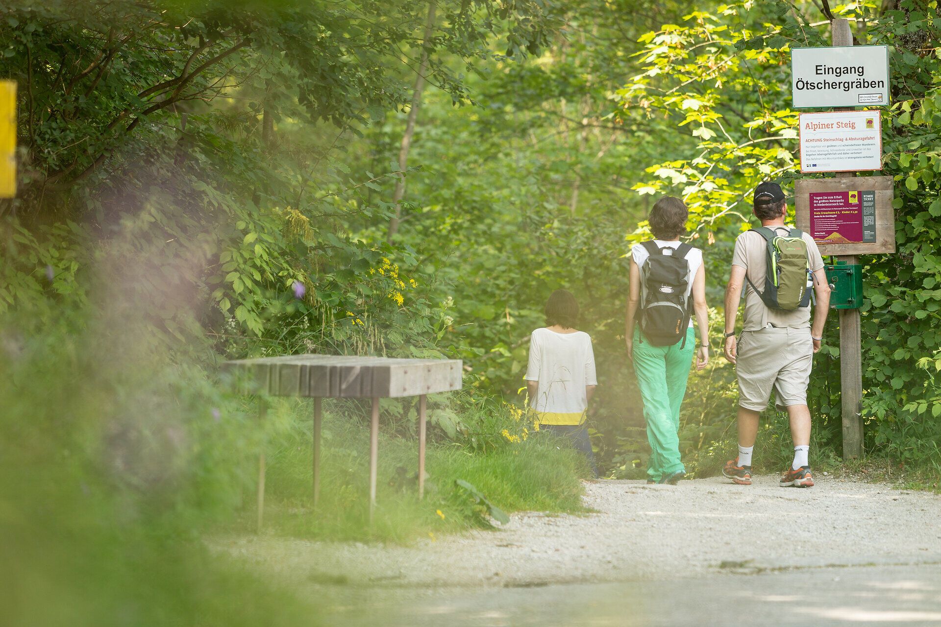 Ein sanfter Wanderweg schlängelt sich durch die üppige, grüne Landschaft, umgeben von hohen Bäumen und bunten Wildblumen. Die frische Luft und das Zwitschern der Vögel laden dazu ein, die Natur in vollen Zügen zu genießen und die Seele baumeln zu lassen.