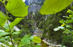 Umgeben von majestätischen Felsen und üppigem Grün, fließt ein klarer Bach durch die idyllische Landschaft. Die frische Bergluft und das sanfte Plätschern des Wassers laden dazu ein, die Seele baumeln zu lassen und die Schönheit der Natur zu genießen.