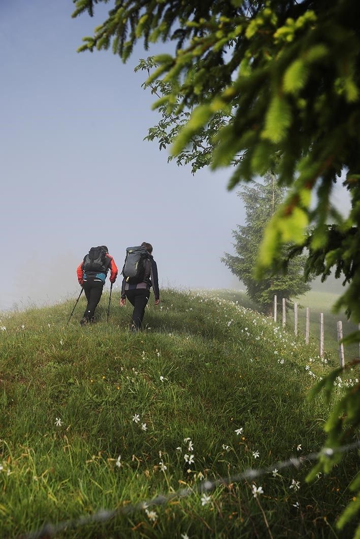 Opponitz Hiking
