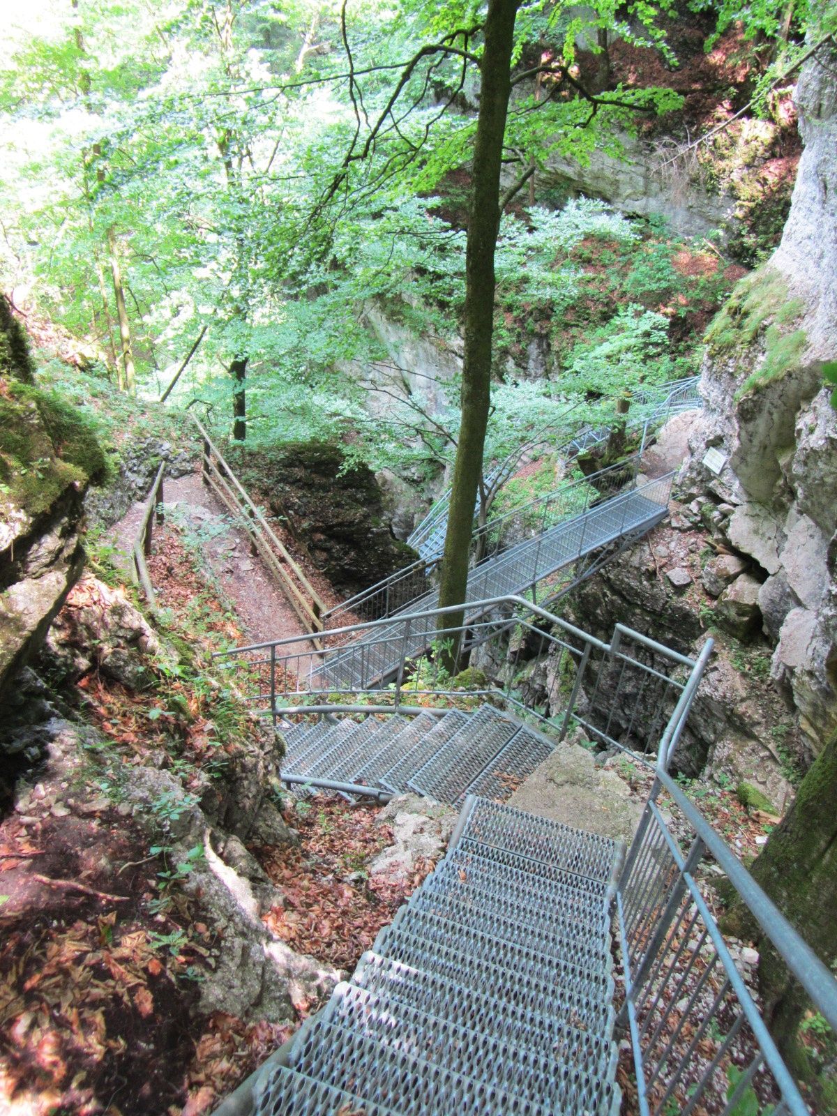 Adventure trail system