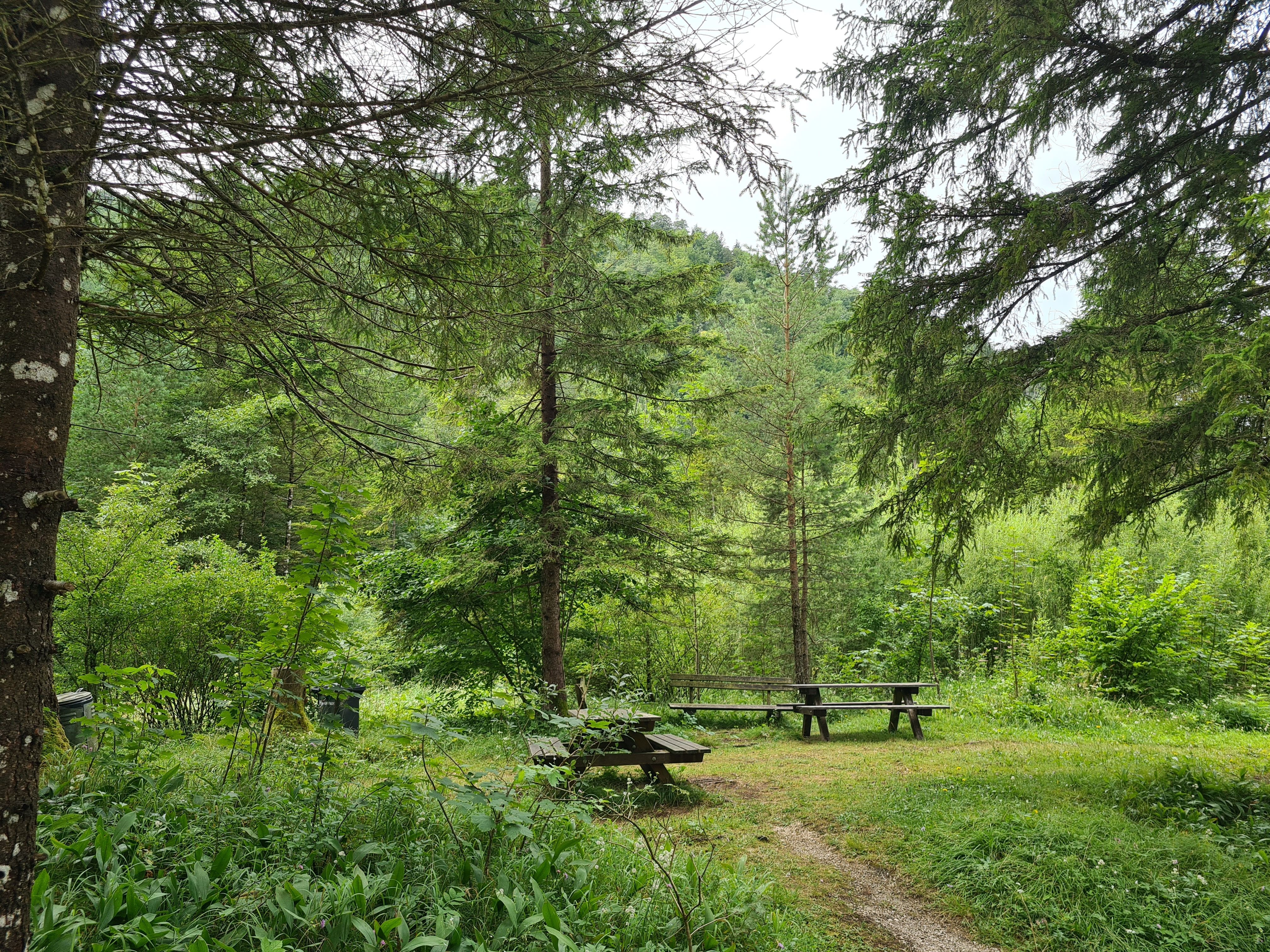 Holzbänke beim Parkplatz und Stellplatz am Erlaufboden