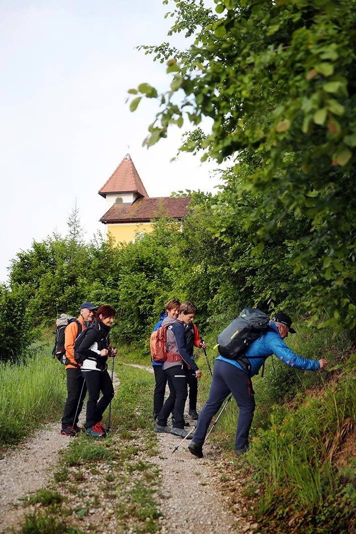 Hiking Opponitz