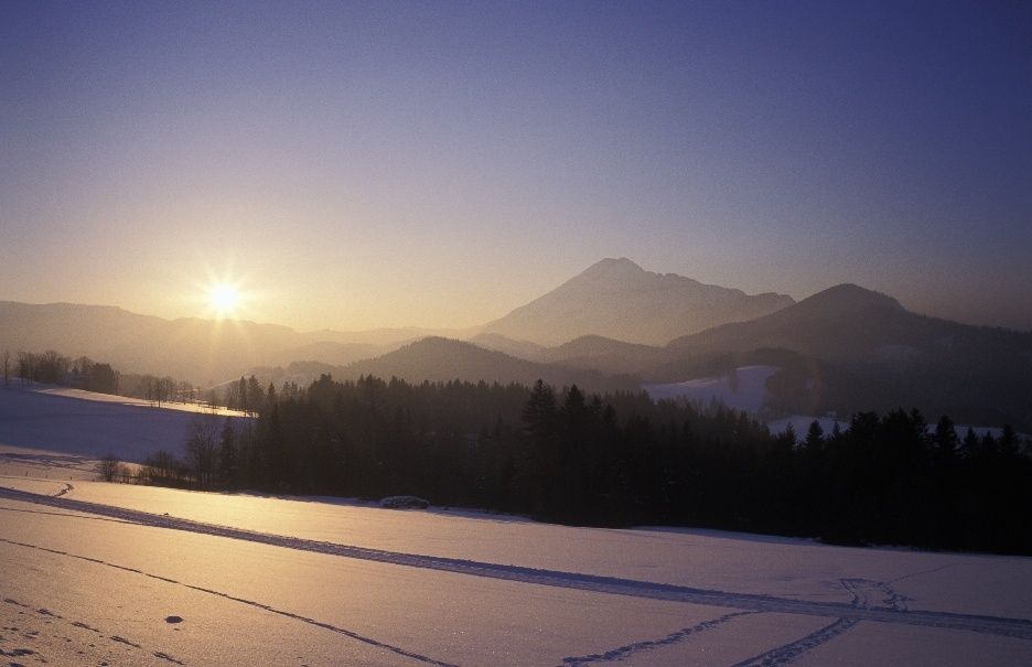 Cross-country ski tracks