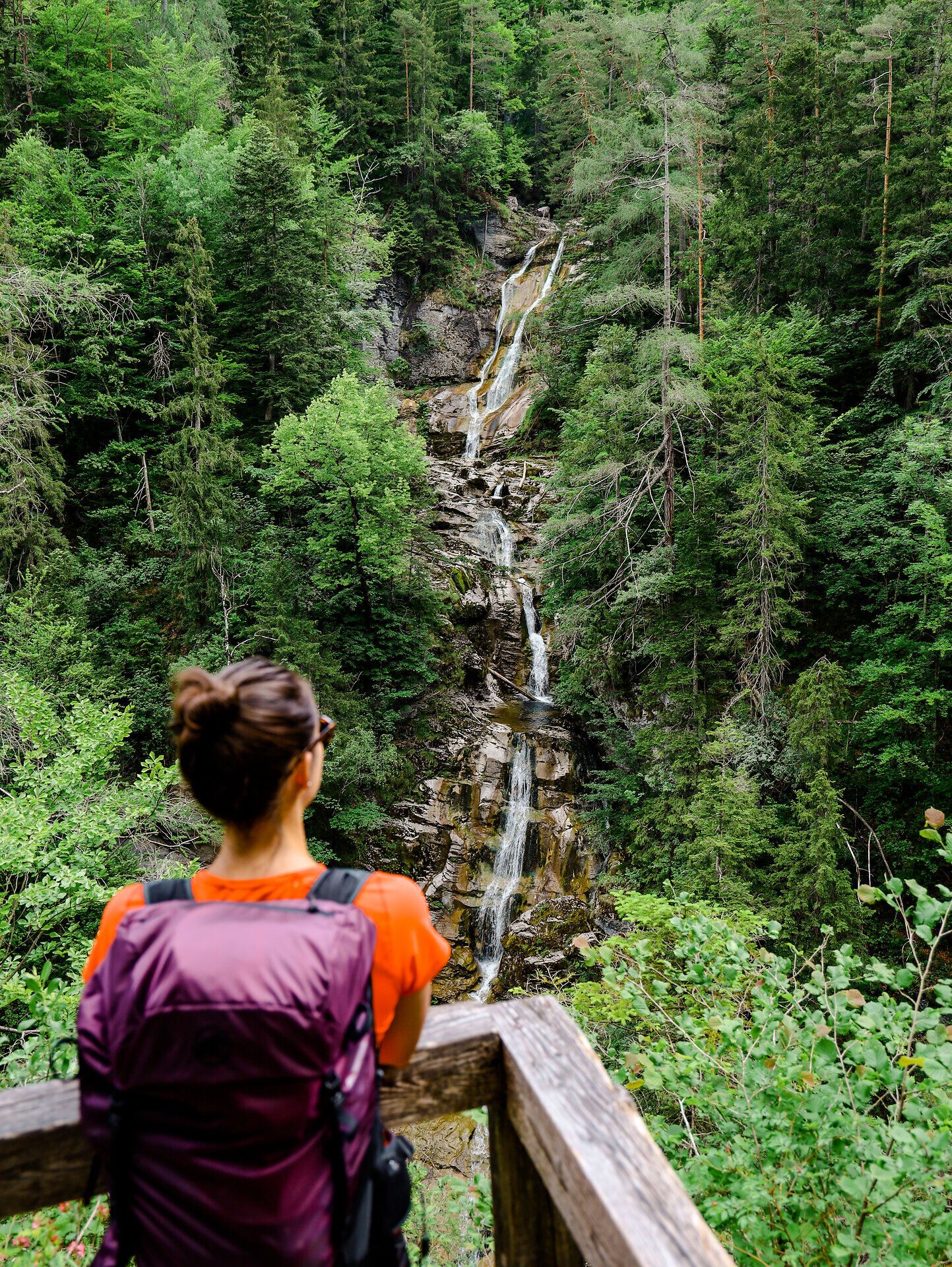 Ein atemberaubender Wasserfall stürzt durch die üppige grüne Landschaft, umgeben von majestätischen Bäumen und dem beruhigenden Klang der Natur. Wanderer genießen den Anblick dieses versteckten Juwels, während die frische Bergluft ihre Sinne belebt. Hier in den Ötschergräben wird die Schönheit des Sommers in den Bergen lebendig.