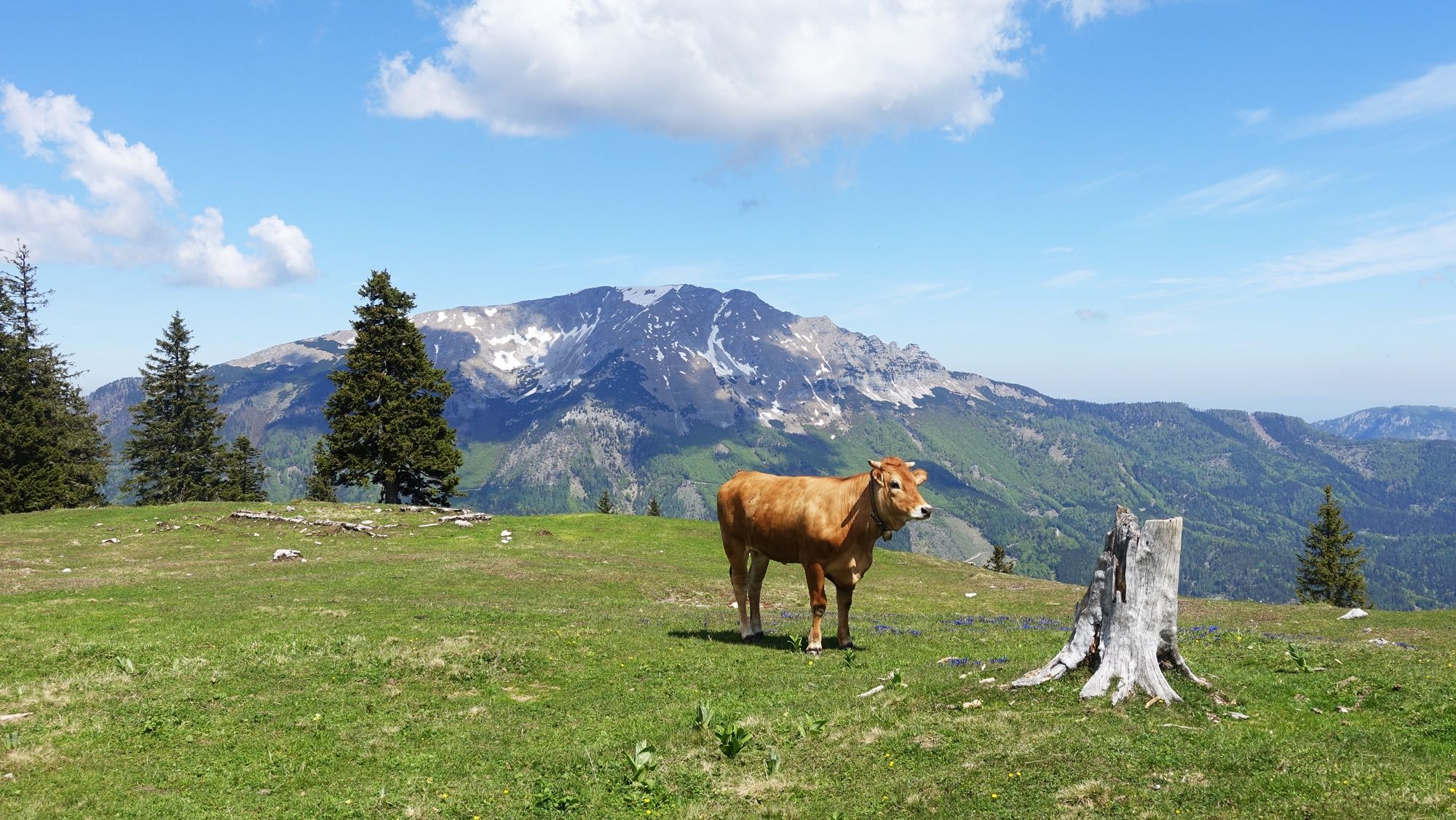 From Lake Erlaufsee via the Brach to the Gemeindealpe